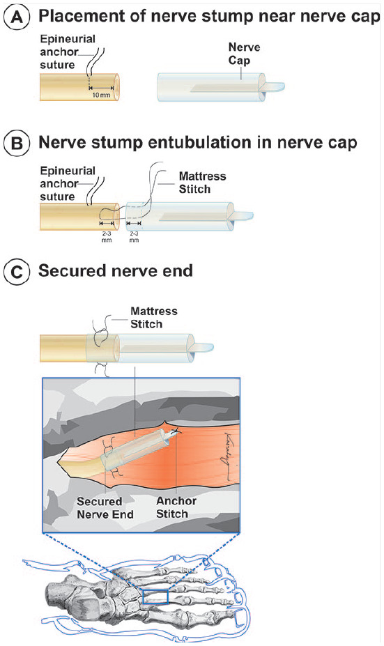 Figure 5.