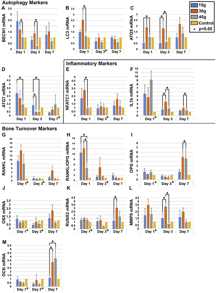 Figure 6: