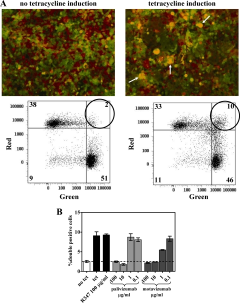 FIG. 4.