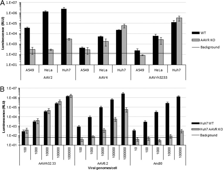 FIG 2