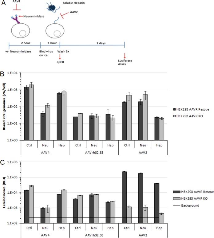 FIG 3