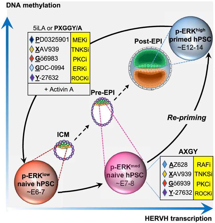 Figure 6.