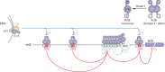 Fig 8