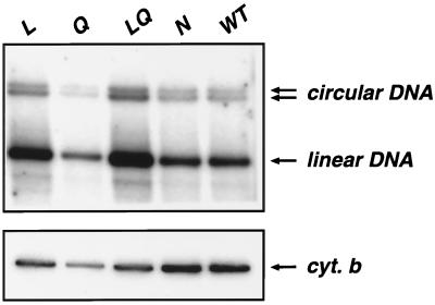 FIG. 3