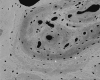 Fig. 17