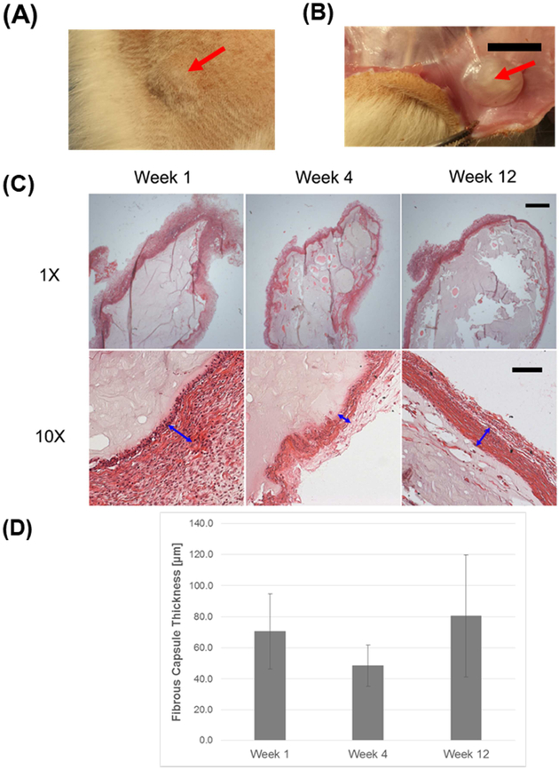 Figure 6: