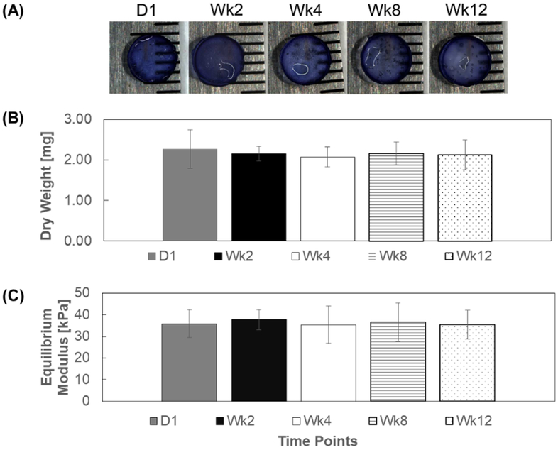 Figure 2: