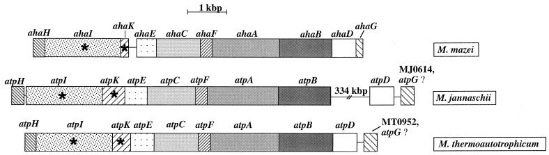 FIG. 5