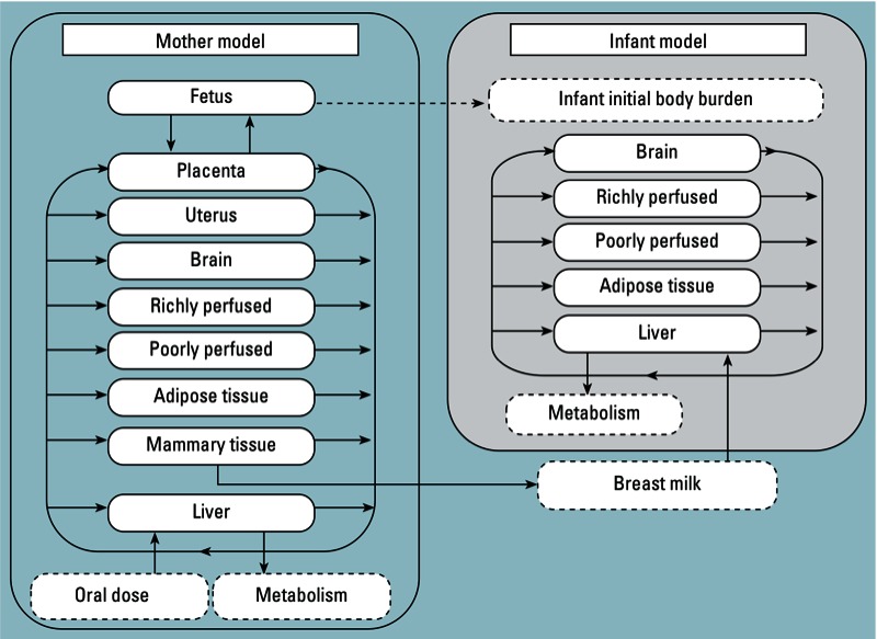 graphic file with name ehp.121-a209.g001.jpg