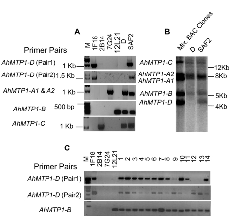 Figure 5