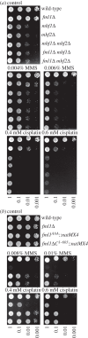 Figure 3.