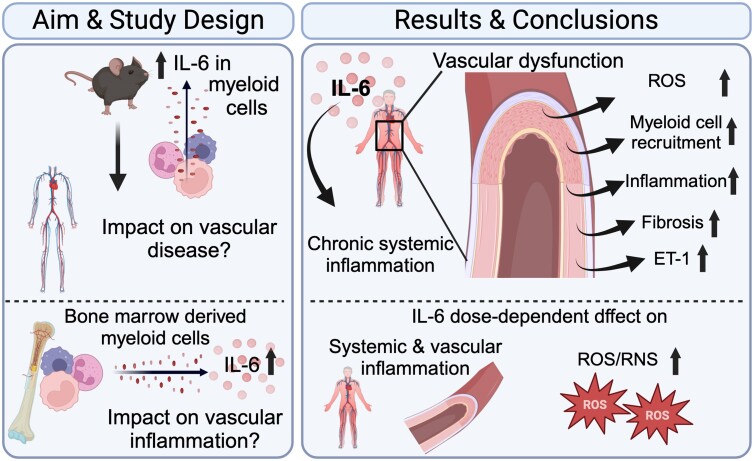 Graphical Abstract