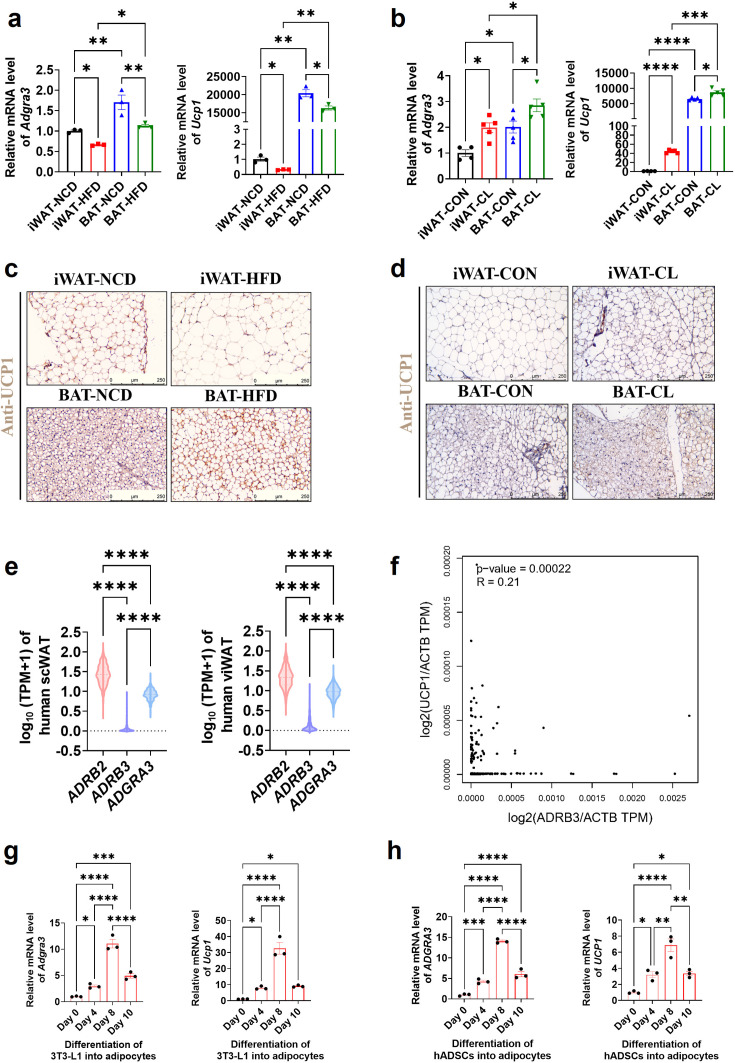 Figure 1—figure supplement 1.