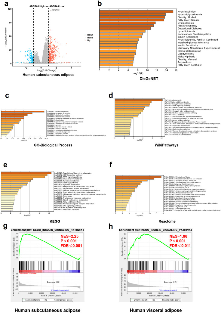 Figure 3—figure supplement 2.