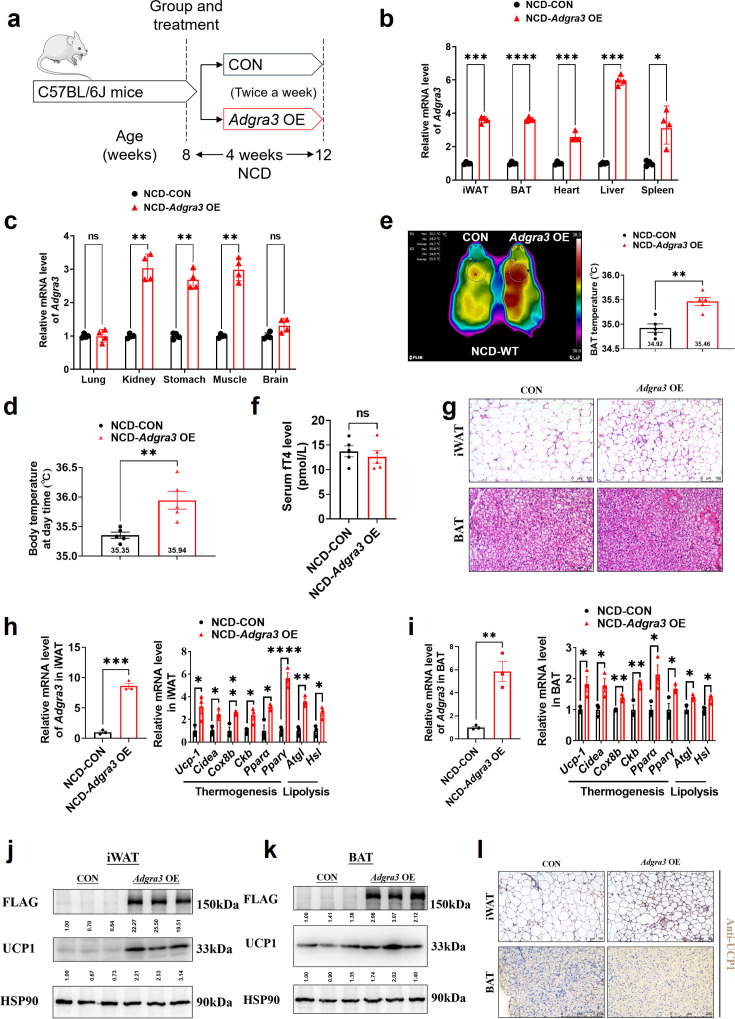 Figure 4—figure supplement 1.