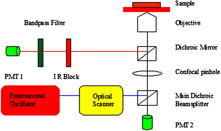 Fig. 1