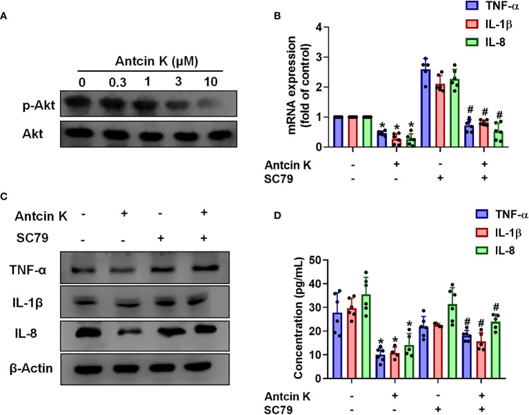 Figure 5