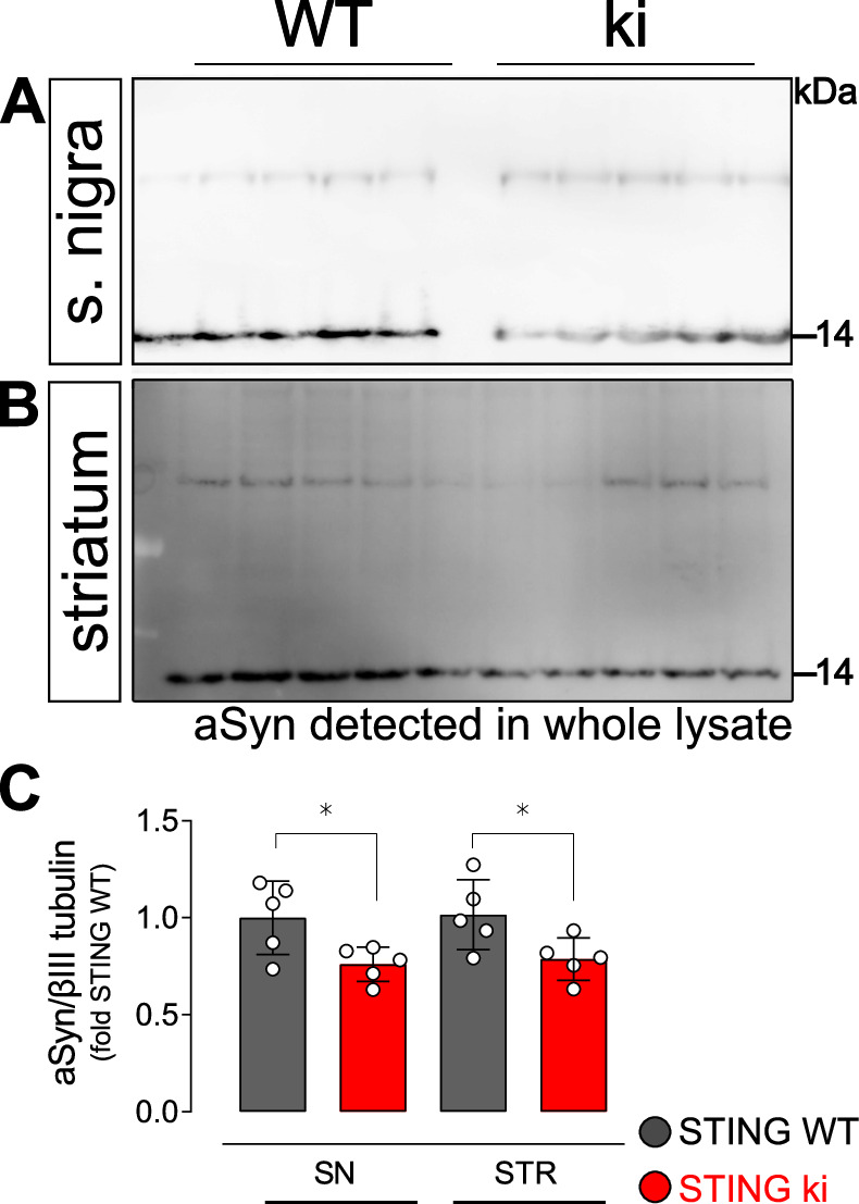 Figure 3—figure supplement 1.