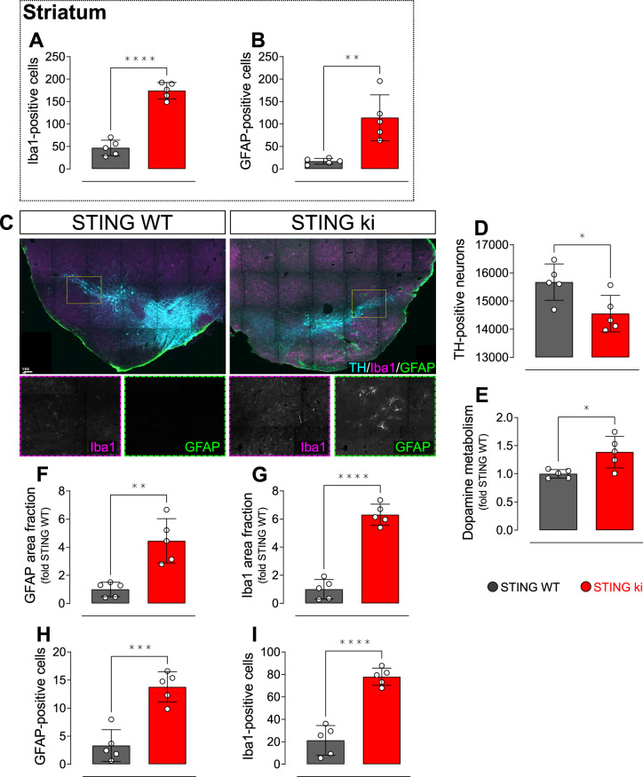 Figure 1—figure supplement 1.