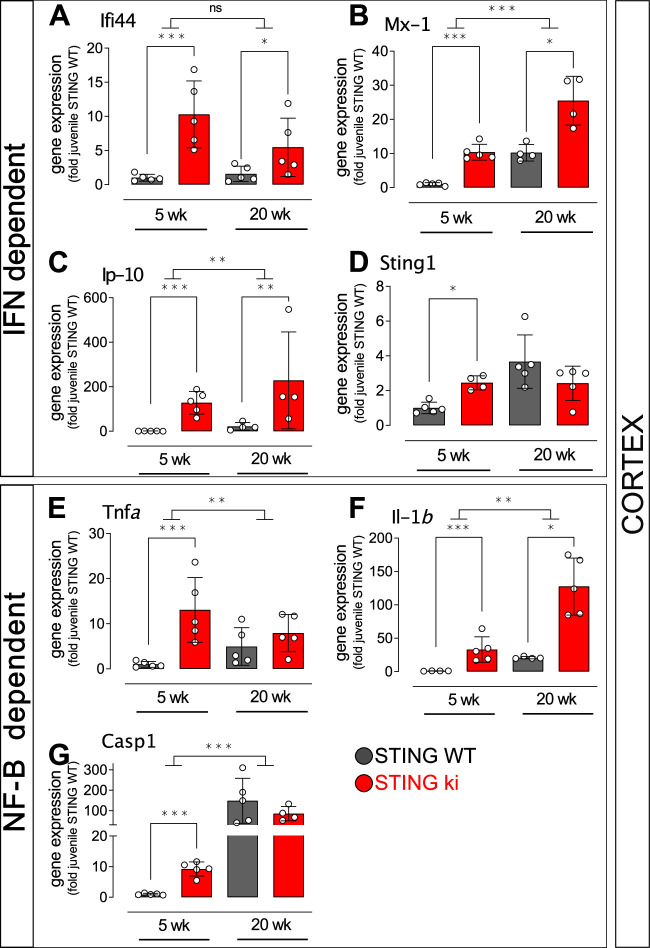 Figure 4—figure supplement 1.