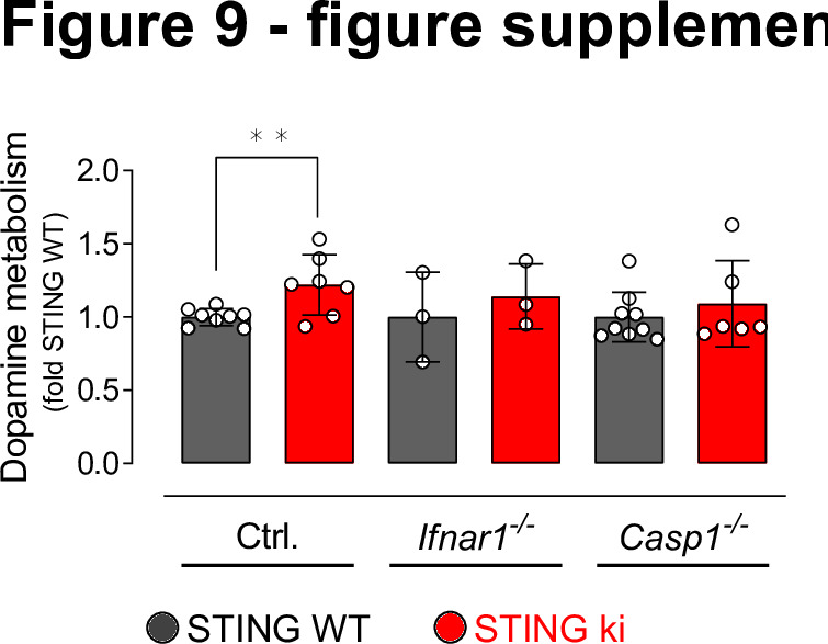 Figure 9—figure supplement 1.