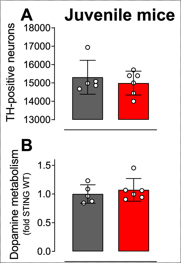 Figure 2—figure supplement 1.