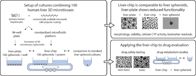 Image, graphical abstract