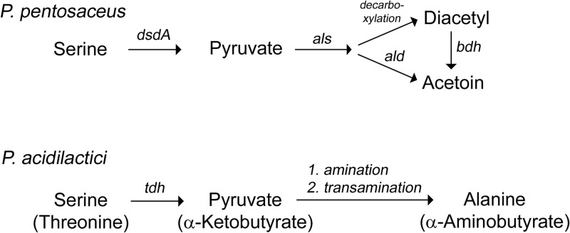 Fig 5