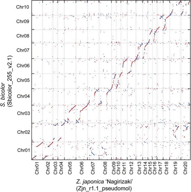 Figure 1.