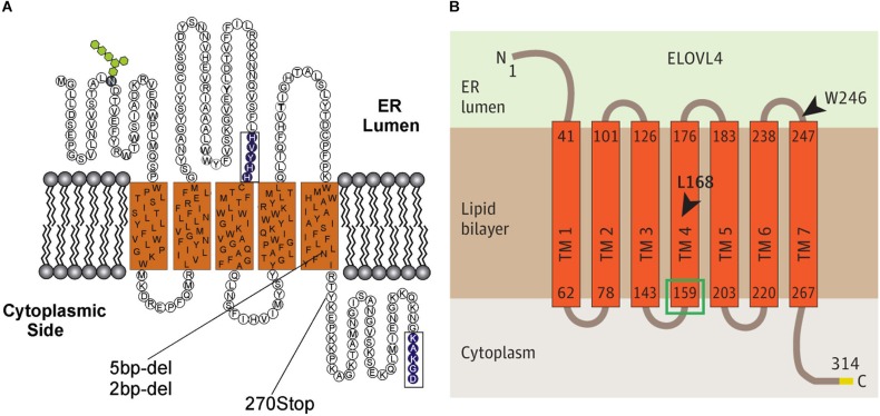 FIGURE 2