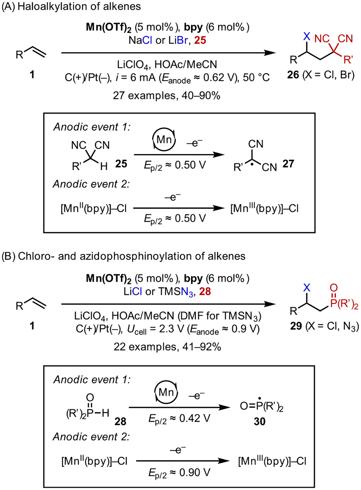 Scheme 12.