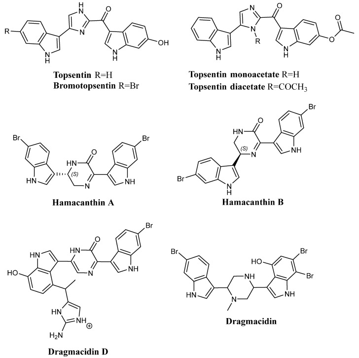 Figure 22