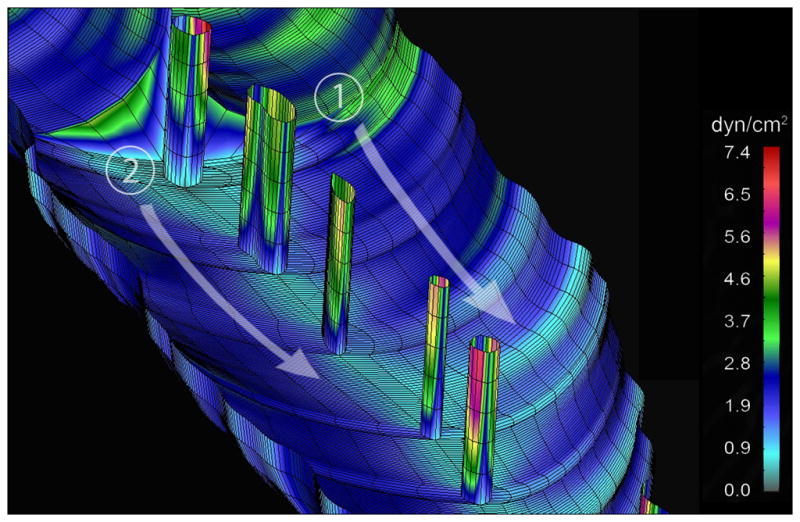 Figure 6