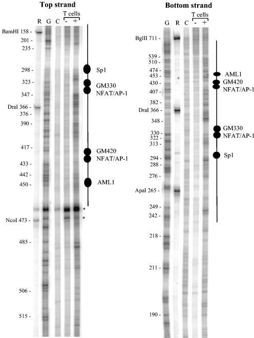 FIG. 3.