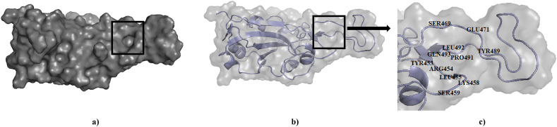 Fig. 1