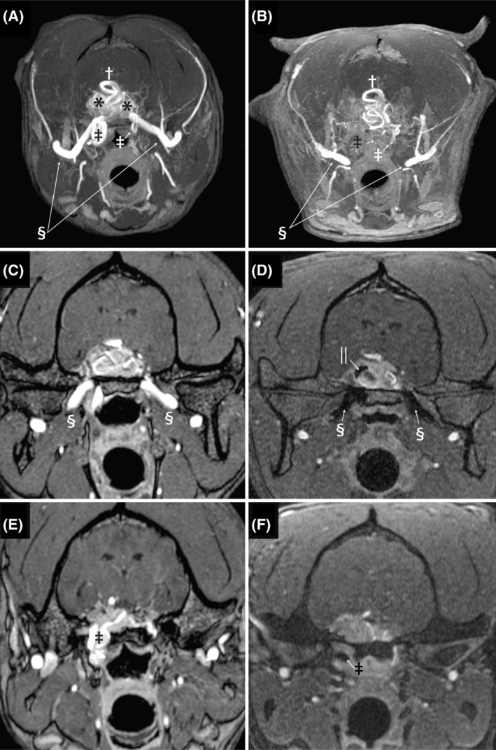 FIGURE 3