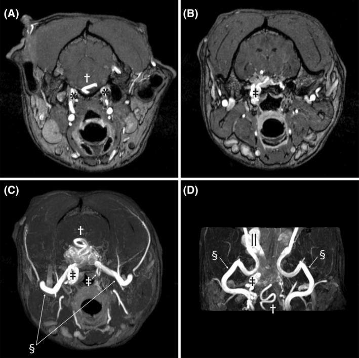 FIGURE 2