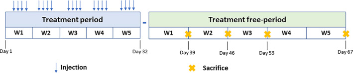 FIGURE 1