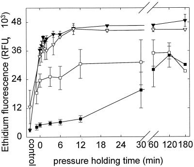 FIG. 7