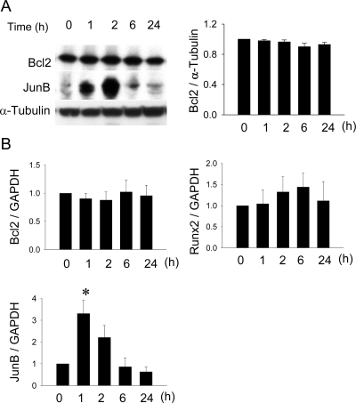 FIG. 6