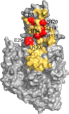 FIGURE 3.