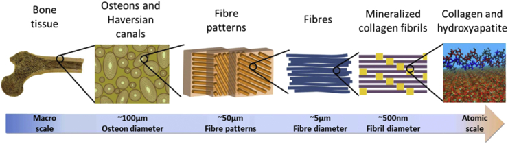 Fig. 1