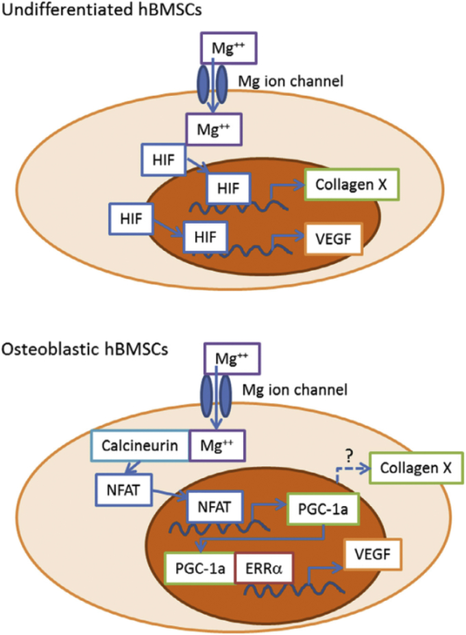 Fig. 6