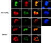 FIG. 10