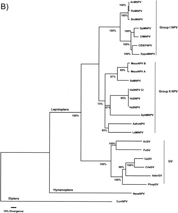 FIG. 5.