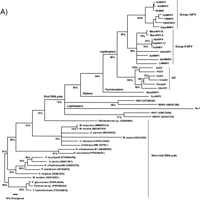 FIG. 5.