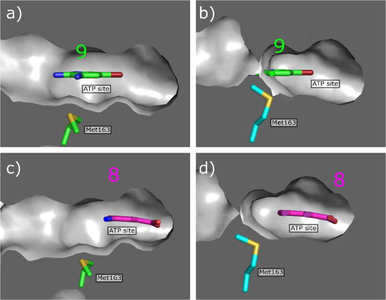 Fig. 8