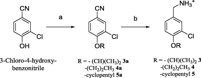 Scheme 1