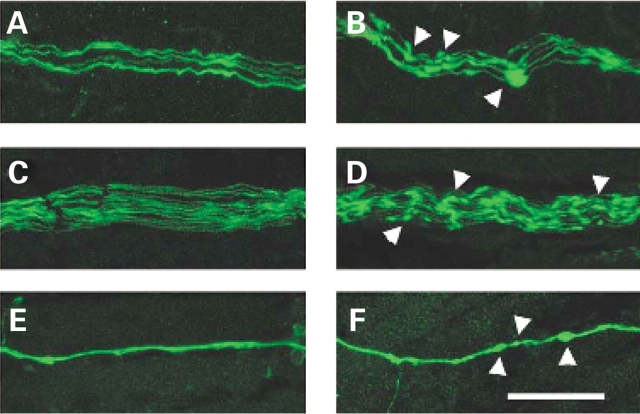 Figure 3.