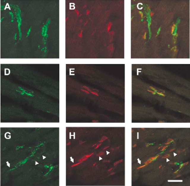 Figure 6.